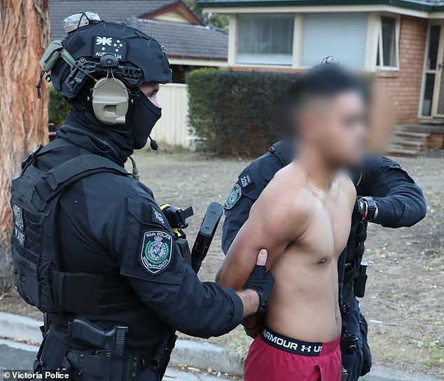Jaeden Tito (above), 22, was detained by heavily armed police officers in Sydney's south-west on Wednesday morning and later charged with Preston's murder.