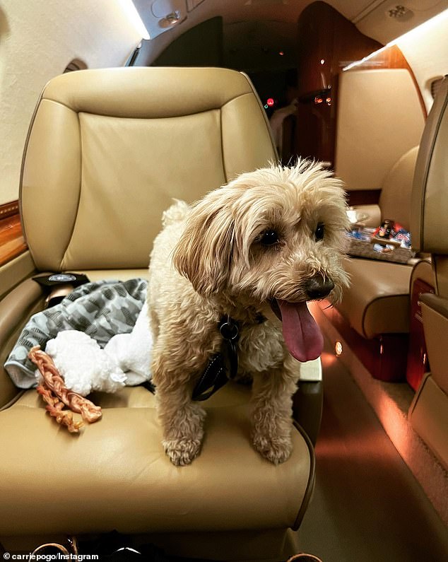 His wife also shared photos of Mr. Pogust and the couple's dog on a private jet.