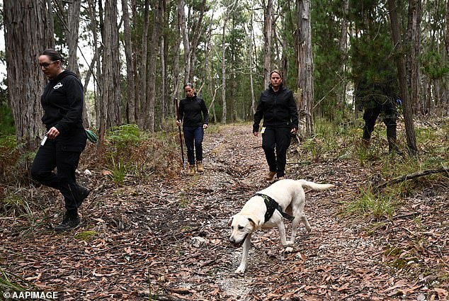 Specialized dogs capable of finding corpses have been brought in to assist in the search.