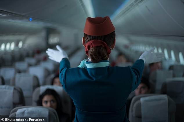 Jay Robert, who has worked as a senior cabin crew for Emirates and runs the Fly Guy cabin crew lounge, told MailOnline Travel that Dr Peery's apparent desire to earn air miles from her complaints is not acceptable.