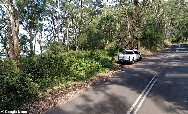 A hiker had heard the dog howling on the morning of January 23 last year, at the foot of a cliff near Clive Bisell Drive in Mount Ousley, near Wollongong, south of Sydney.