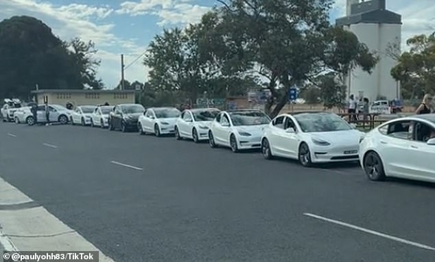 BAEconomics CEO Brian Fisher said hybrid cars were also a more attractive option for environmentally conscious drivers who had anxiety about the range and charging of electric vehicles (pictured is a charging queue Tesla in Keith, South Australia).