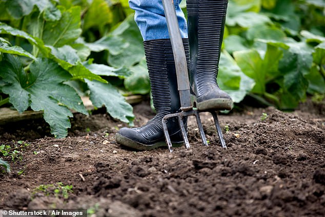 The BBC favorite's first tip was to dig up the soil as soon as possible to allow it to warm up properly in the coming weeks. Stock image used