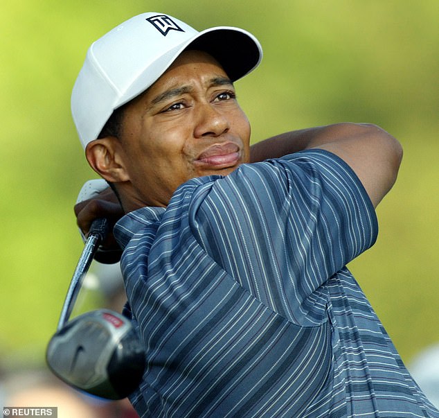 2004 was another year in which Woods, despite his skill, failed to win a major.