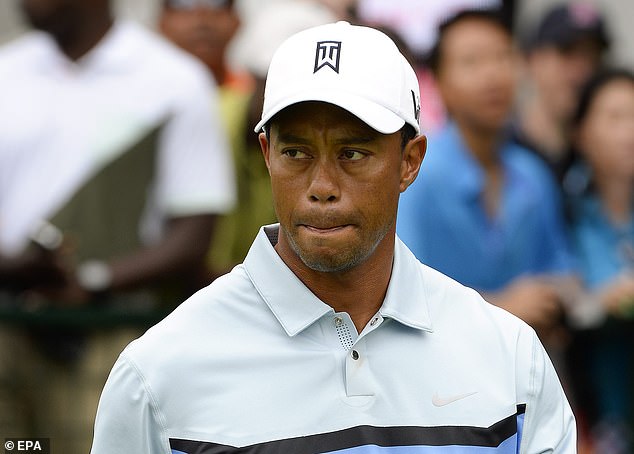 Woods played more consistently in 2013 and returned to the top of the world rankings.