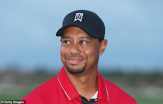 Woods had more injury problems in 2015, making it difficult for him to impress.