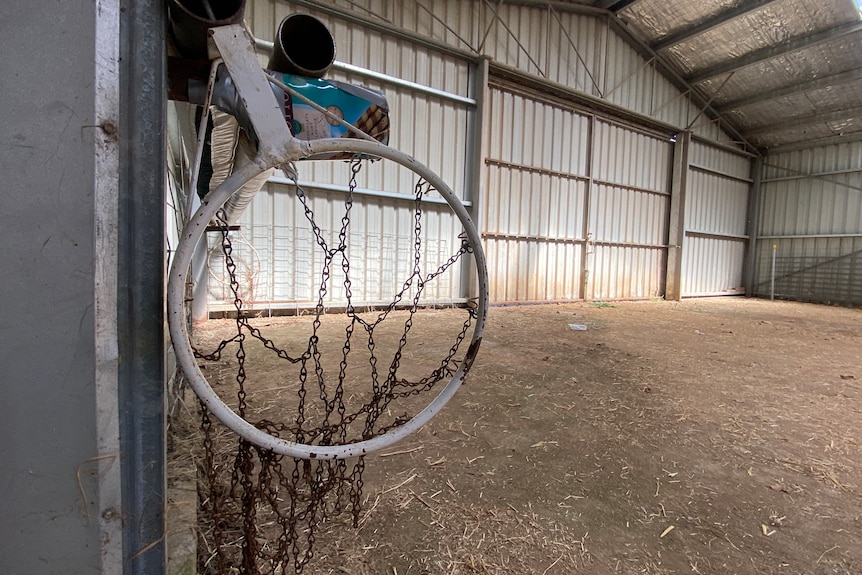 A photo of a netball hoop hanging in a sheep shed. 