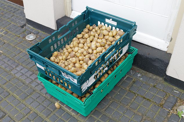 Donors have left boxes of potatoes outside the building to supply food to the squatters.