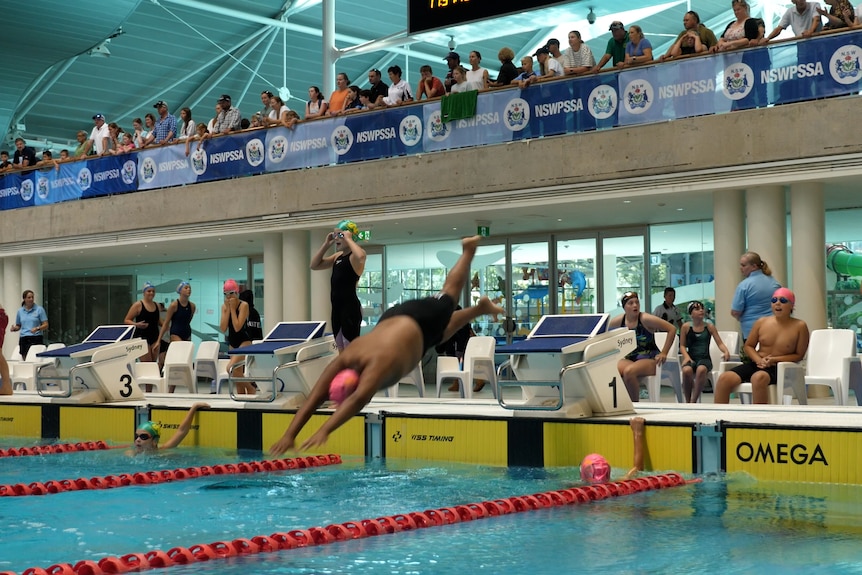 A boy with a pink swimming cap dives into the water of an Olympic pool