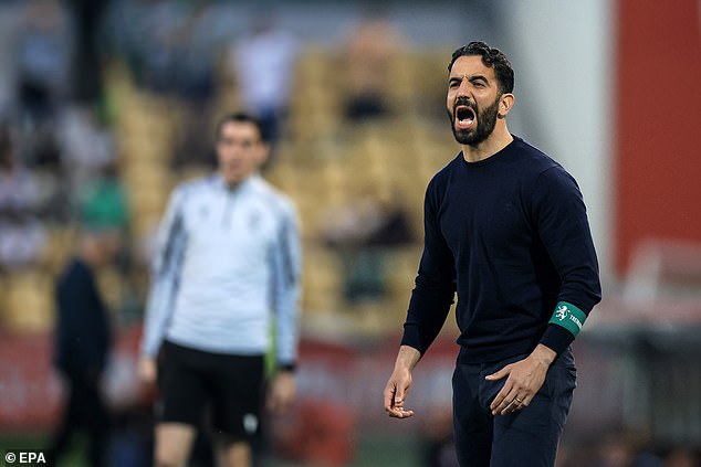 Sporting Lisbon's Rubén Amorim is one of the main contenders, but has denied holding talks