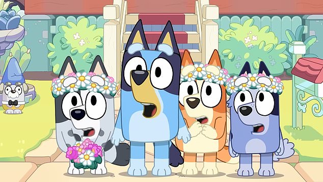 The episode focused on the family's final days at their Brisbane home as they organized the wedding of Bandit's brother Rad and Chilli's best friend Frisky.