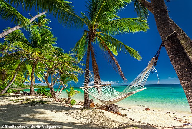 Empty hammock in the shade of palm trees on the tropical paradise island of Fiji