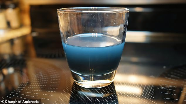 A mushroom tea infusion turns out naturally blue. The Church of Ambrosia packages its own homogenized mushroom powder in a tea bag before steeping it in boiling water.