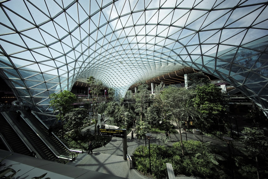 An airport terminal with a scratched glass roof includes lots of trees, greenery and an escalator. 