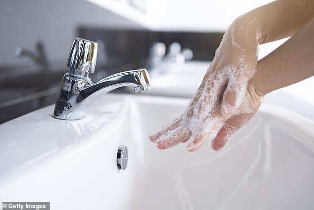 Before enjoying the buffet offerings, it is essential to wash and disinfect your hands thoroughly (file image)