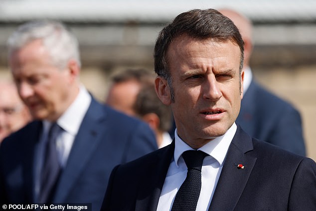 Emmanuel Macron's party (pictured) has been under intense pressure to act ahead of the European Parliament elections in June.