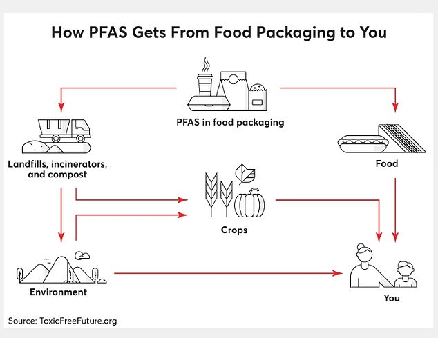 The graphic above from Toxic Free Future shows how toxic PFAS chemicals find their way into food products.