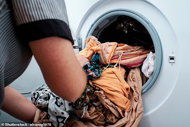The cleaning expert said you should always take time to check the pockets of any item that goes into the washing machine (File Image)