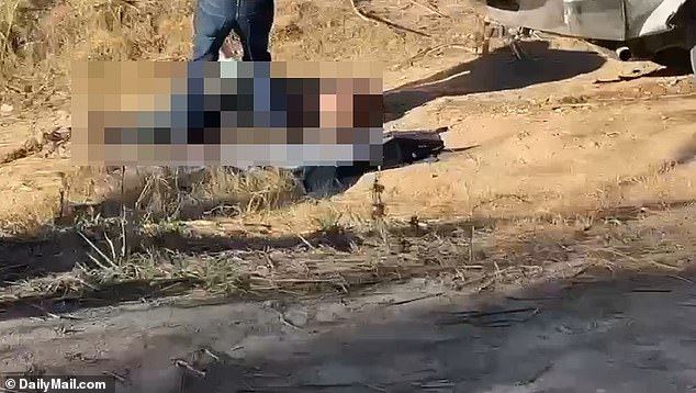 A migrant is pulled from the water near Eagle Pass, Texas, in a video shared with DailyMail.com in February.