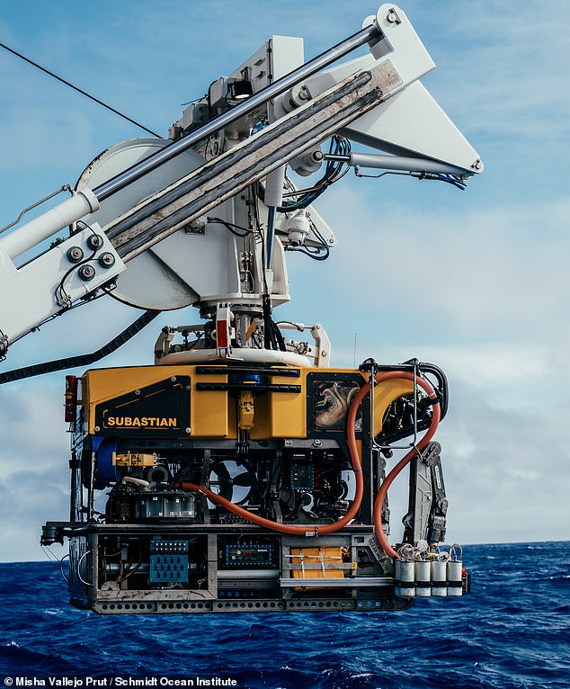 Researchers used a remotely operated vehicle called SuBastian to study the complex ecosystems that exist in this region of the Pacific