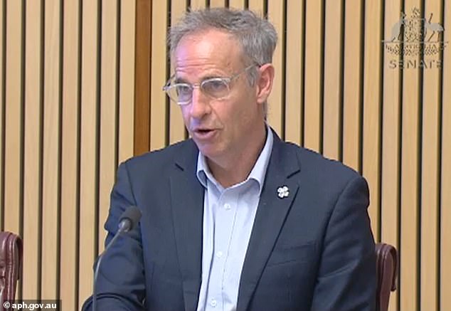Inquiry chair and Greens senator Nick McKim (pictured) warned Banducci he could be charged after attempting to question him several times.