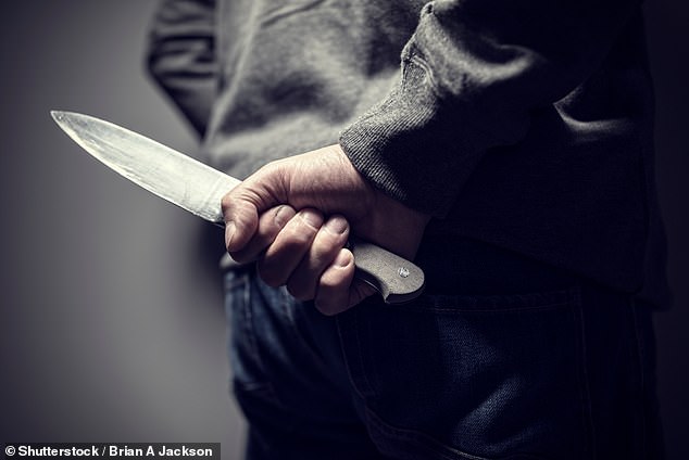 Some shoppers fled the center while others found a safe place to hide after seeing the men holding large knives (file image)