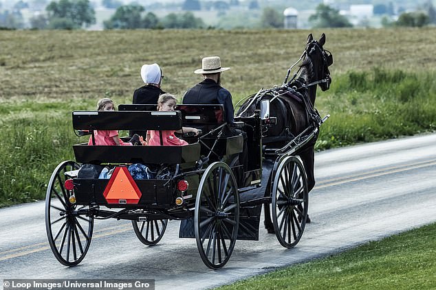 The Amish, a Christian sect who immigrated to the United States from Europe in the 18th and 19th centuries, typically refuse to drive cars, use computers or connect to a public electricity supply.