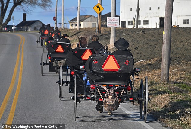 A row of Amish buggies heading home after church near Ronks, Pennsylvania