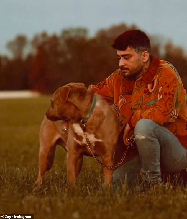 Zayn officially announced his first new music in three years, Room Under The Stairs.