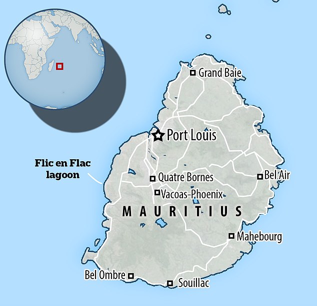 1713361144 13 55 year old British tourist drowns in Mauritius while swimming in rough