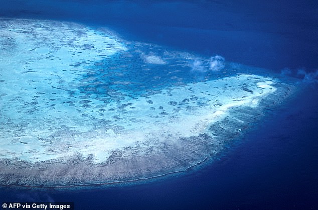 This aerial photo taken on April 4, 2024 shows a coral atoll near Lizard Island on the Great Barrier Reef, located 167 miles north of the city of Cairns.