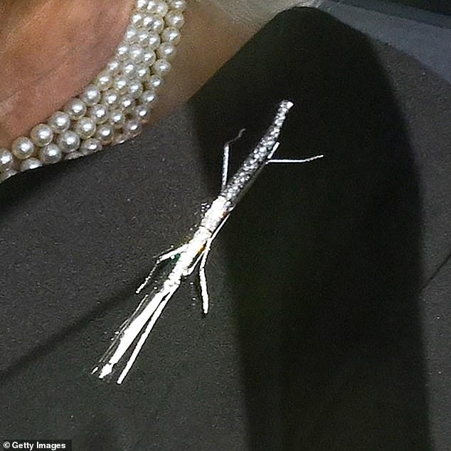 The stick insect brooch has sentimental value