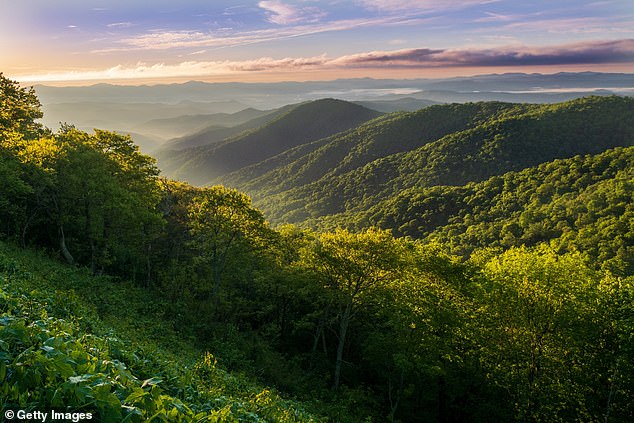 The findings have led researchers to wonder whether former industrial mines could become a valuable source of lithium, but the discovery could reach far beyond the East Coast mountain range (pictured, the Appalachian Mountains in North Carolina ).