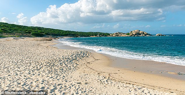 In the photo: the sandy coast of Licciola beach, located near the Valle dell'Erica
