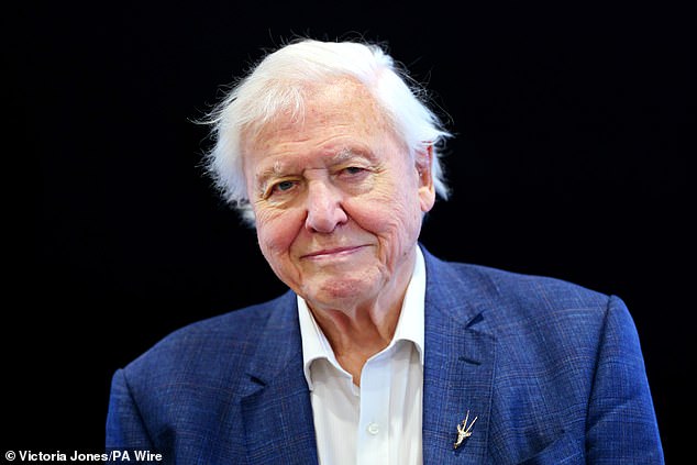 Sir David Attenborough's latest wildlife series focuses on how animals are adapting to the world while fighting climate change.
