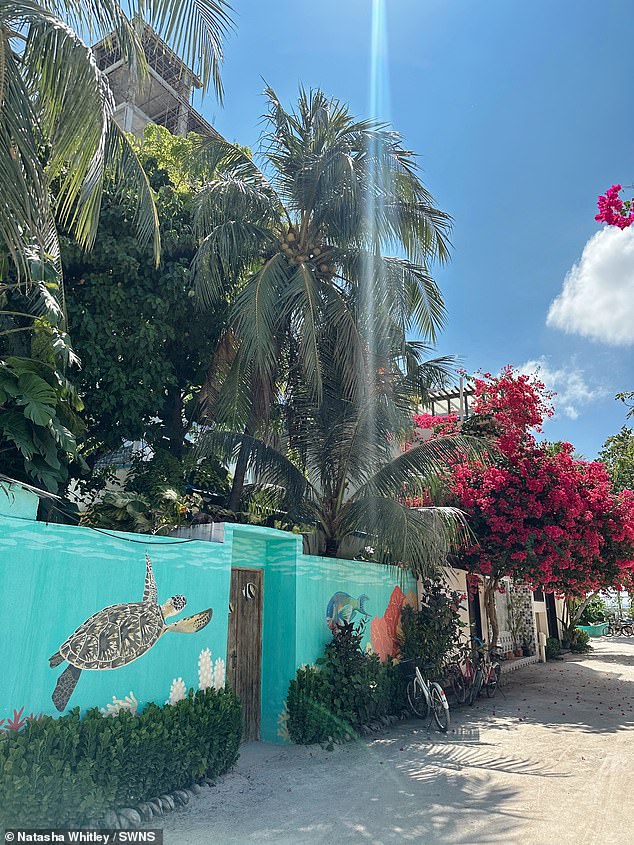 Natasha photographed beautiful palm trees, flowers and a turtle mural in Thulusdhoo