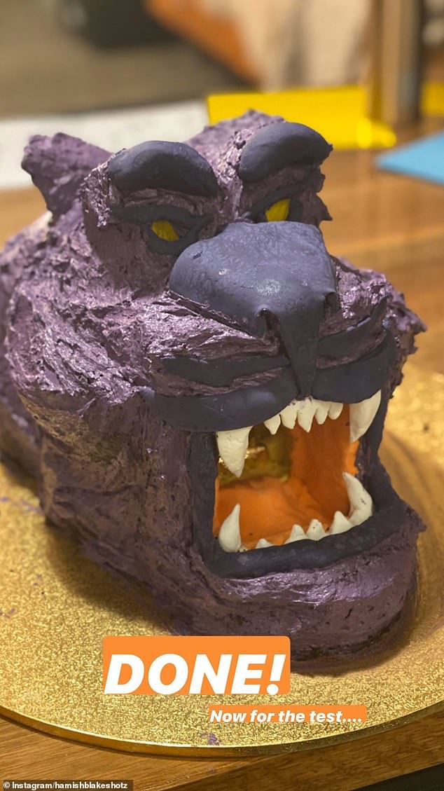 Pictured: An Aladdin-inspired cake that Hamish created for his son Sonny's sixth birthday.