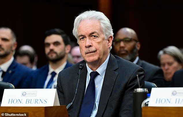 William J. Burns (pictured) heads the Central Intelligence Agency