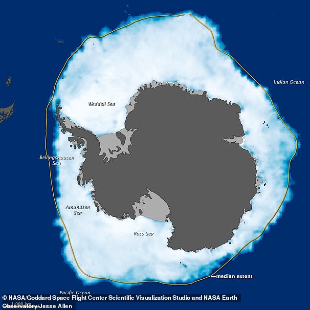 An image of Antarctica differentiating its land mass (dark gray), ice shelves (light gray), and sea ice (white). The Ross Ice Shelf, the largest ice shelf in Antarctica, is located in the south.