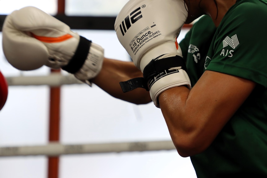 A close-up of a boxer's white boxing gloves as they train in the ring.