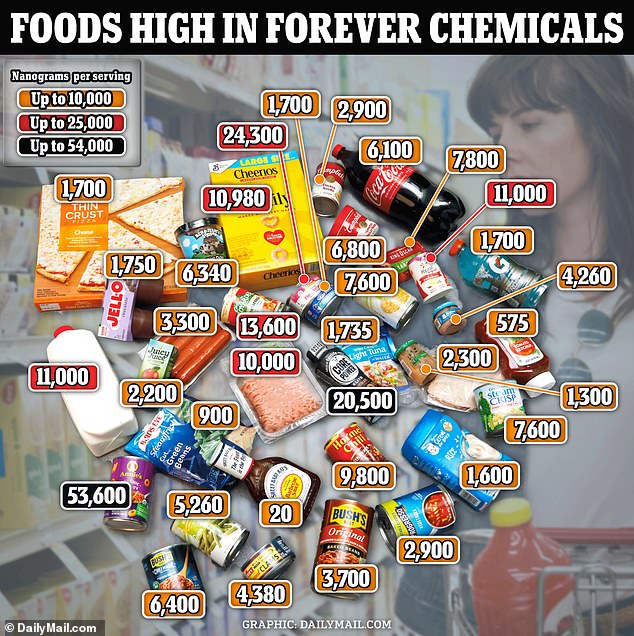 Forever chemicals are found in many foods, including BBQ sauce, hot drinks, soft drinks, and soups.  These chemicals can cause fertility problems and life-threatening diseases such as kidney and liver failure and cancer.