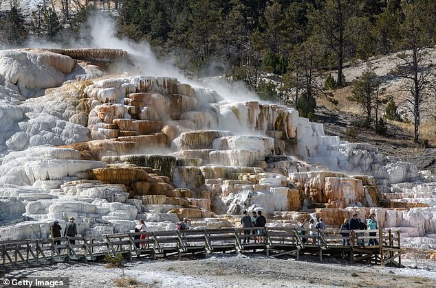 At Mammoth Springs in Yellowstone National Park, you can see travertine forming in real time, as calcium-rich water precipitates its minerals to the surface.
