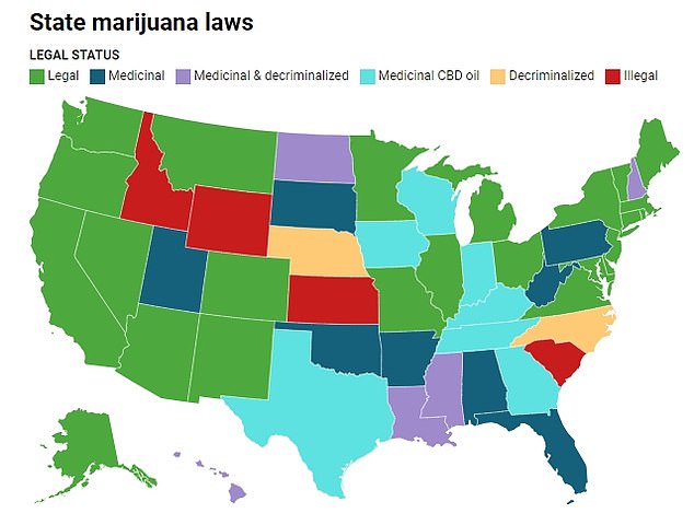 1713617662 189 Daily Mail map reveals where marijuana dispensaries are most plentiful