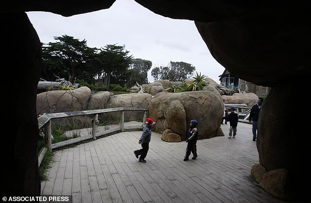 A group of visitors tours the many tunnels inside the African Savannah exhibit, nine days after the deadly tiger attack at the San Francisco Zoo.