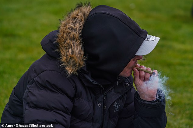 A cannabis smoker at the meeting in Hyde Park, London, this afternoon