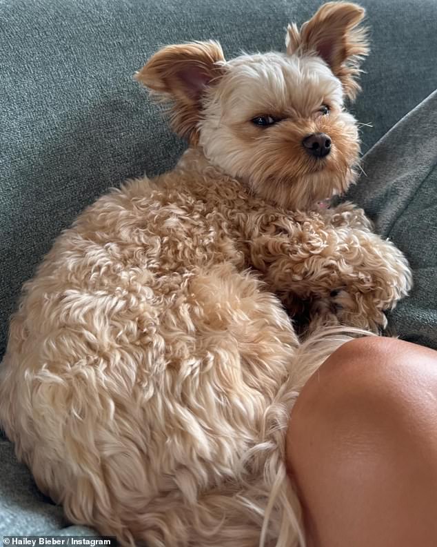 As part of her post, she also shared some random snaps from her busy week.  One picture of her showed one of her and Justin's adorable Yorkie puppies apparently looking at her after being woken up from a nap.