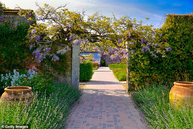 The Lost Gardens of Heligan in Cornwall feature a blooming lilac arch in the center (above)