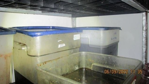 The officer also found other food safety violations, including mold and other unidentified matter on warehouse shelves (pictured).
