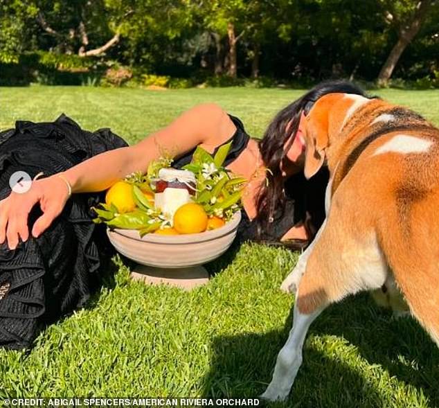 Abigail, 42, received the sixth jar of the batch, she revealed today in an over-the-top photoshoot that showed her reclining on the grass with the precious preserve.