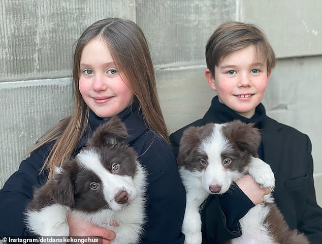 For Princess Josephine and Prince Vincent's 11th birthday, the twins posed with Coco and their littermate when they were just puppies.